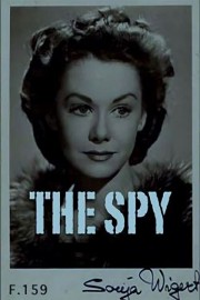 stream free The Spy hd online