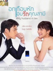 stream free My Husband in Law hd online