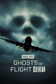 stream free Ghosts of Flight 401 hd online