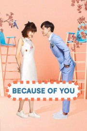 stream free Because of You hd online