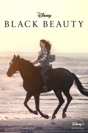 stream free Black Beauty hd online