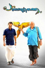 stream free Panchavarnathatha hd online