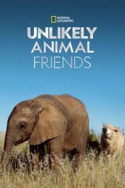 stream free Unlikely Animal Friends hd online