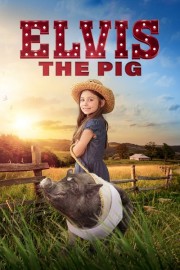 stream free Elvis the Pig hd online