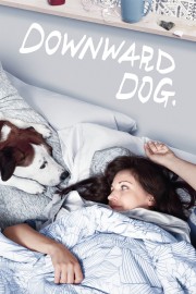 stream free Downward Dog hd online