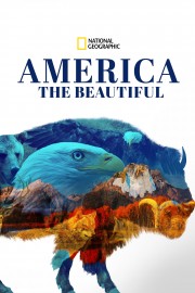 stream free America the Beautiful hd online