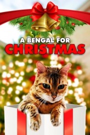 stream free A Bengal for Christmas hd online