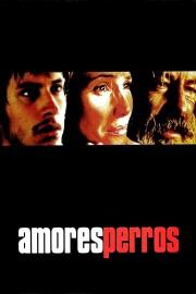 stream free Amores Perros hd online