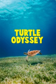 stream free Turtle Odyssey hd online