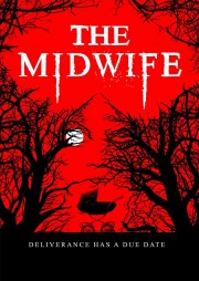 stream free The Midwife hd online