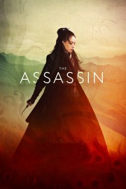 stream free The Assassin hd online