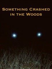 stream free Something Crashed in the Woods hd online