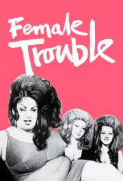 stream free Female Trouble hd online