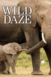 stream free Wild Daze hd online