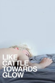 stream free Like Cattle Towards Glow hd online