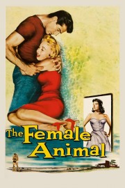 stream free The Female Animal hd online