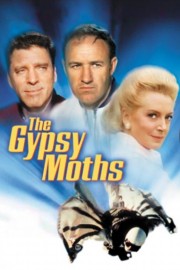 stream free The Gypsy Moths hd online