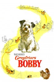 stream free Greyfriars Bobby: The True Story of a Dog hd online