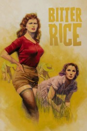 stream free Bitter Rice hd online