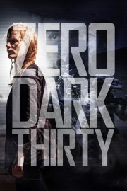 stream free Zero Dark Thirty hd online