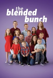 stream free The Blended Bunch hd online