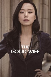 stream free The Good Wife hd online