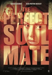 stream free The Perfect Soulmate hd online